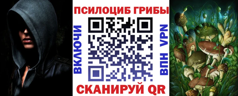 даркнет состав  Коломна  Псилоцибиновые грибы MAGIC MUSHROOMS  omg tor 